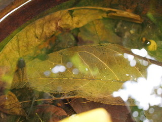 P8145221.JPG