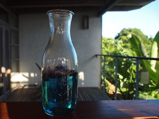 P8165250.JPG