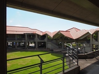 P9124131.JPG