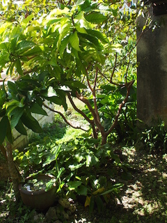 P9235359.jpg