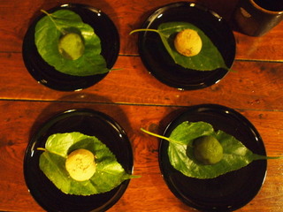 PC095576.JPG
