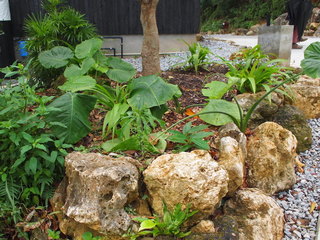 PC105606.JPG