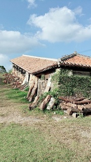 S__64282638.jpg